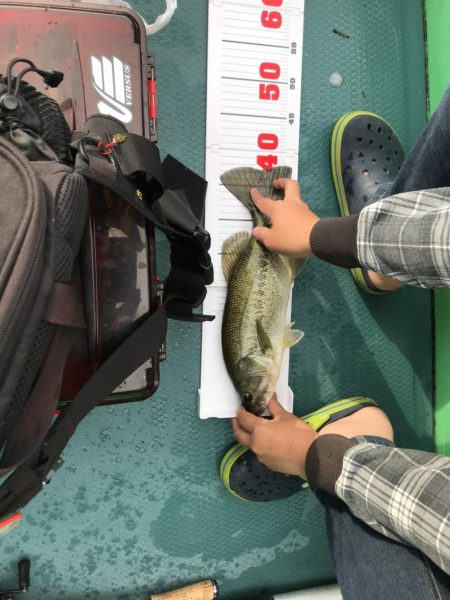 バス釣り40アップ2本