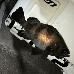 満足爆風メバリング