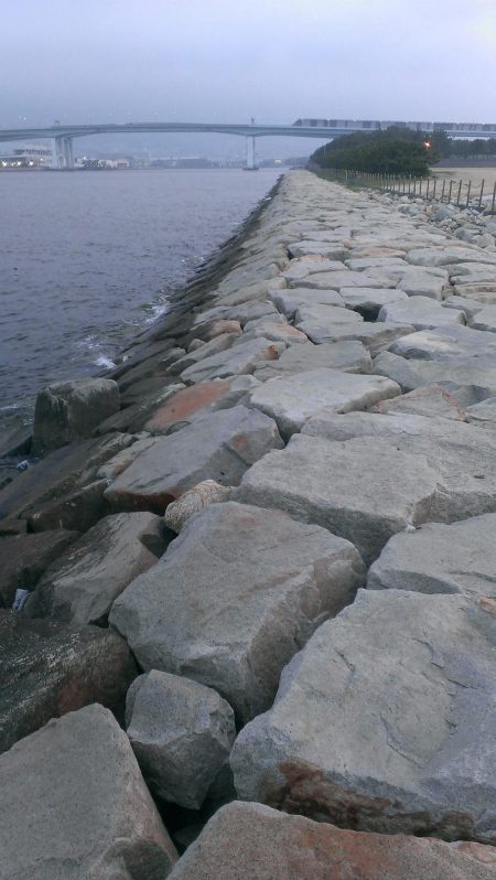 芦屋のグレ開幕戦