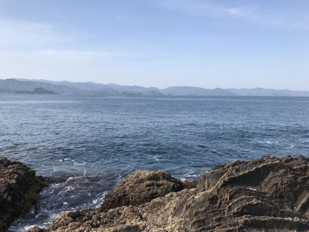 GWに遠征したら人生初のアオリイカが釣れた。