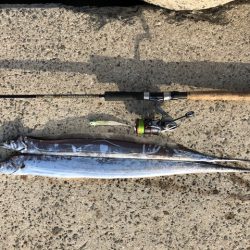 和歌山ワインド