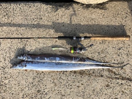 和歌山ワインド