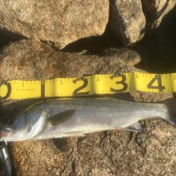 ボトム ズル引きパターンで