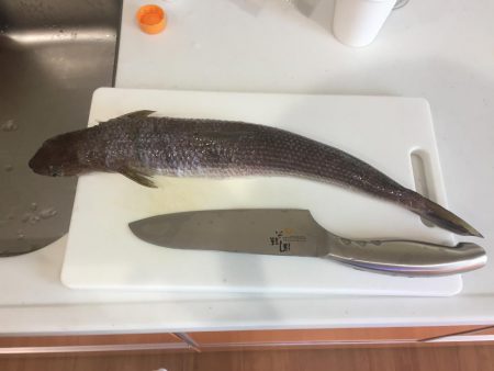 エソとエソ料理