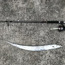 どんな状況でも活路はある