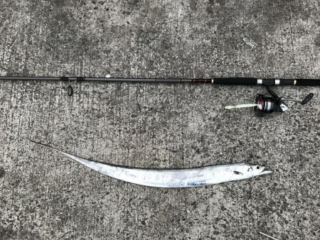 どんな状況でも活路はある