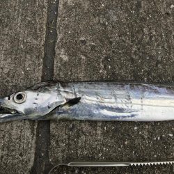 時合いを逃すな