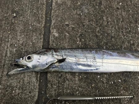 時合いを逃すな