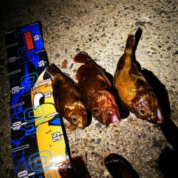 ゴムボートフィッシング