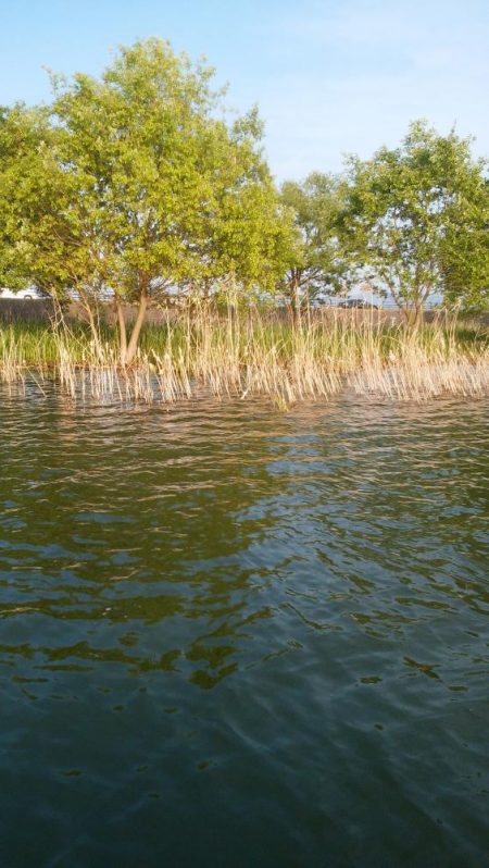 GW中盤シャロー