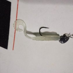 メバリング不発ガシラグッドサイズ！