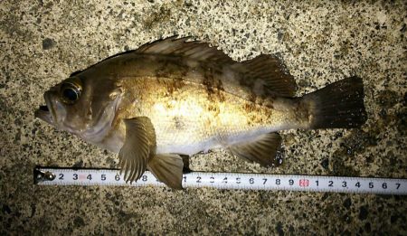 1日で状況は変わる