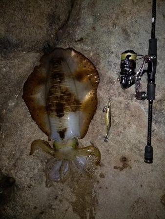 ゴールデンウィーク釣行