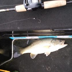 GW終盤の爆風は風裏で