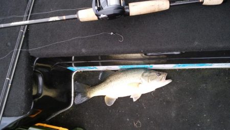 GW終盤の爆風は風裏で