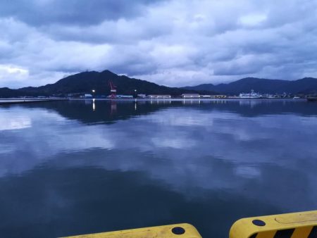 シーバスとエギング