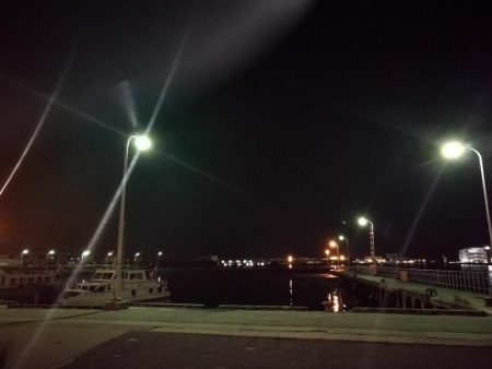 またフェリーターミナルのヘチ釣り（一応坊主じゃない(笑)）