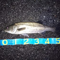 バッチリ、バチパターン