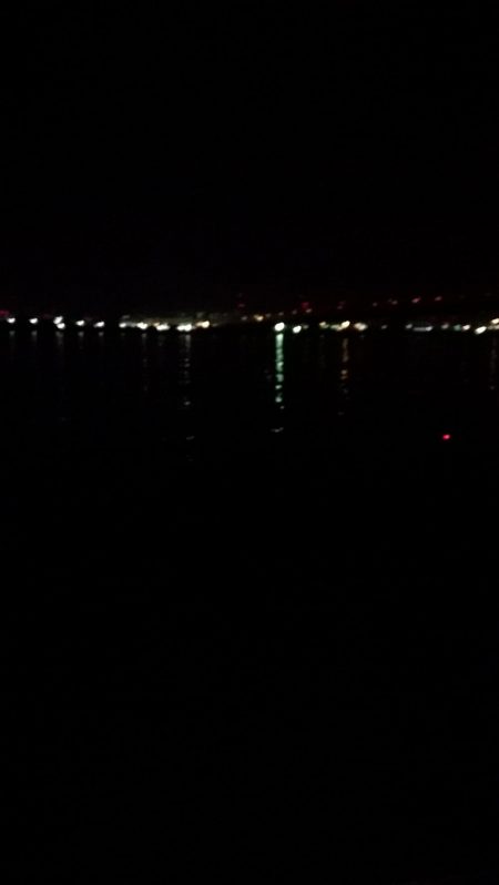 メバルはどこへ？