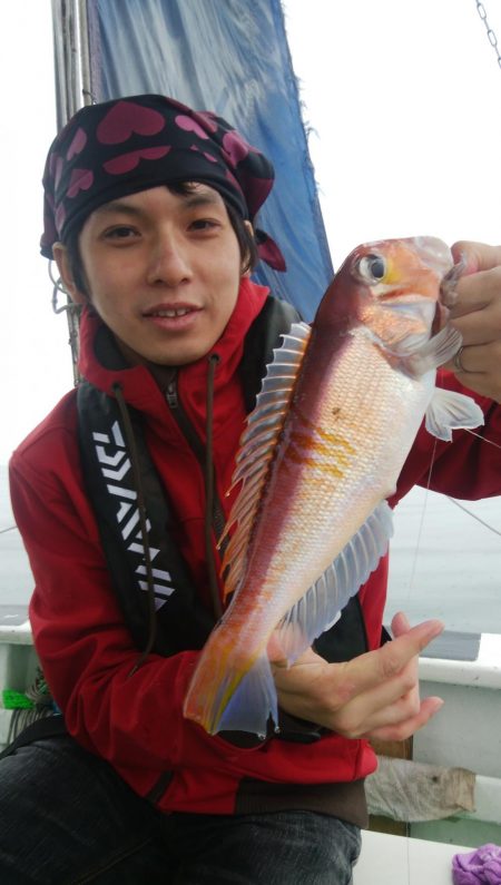 第二美丸　午前便五目釣り・午後便マダイ完全ふかせ