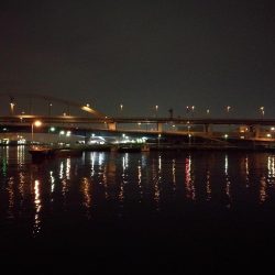 南港フェリーヘチ釣り落とし込み(懲りずに小キビレ釣ってます)