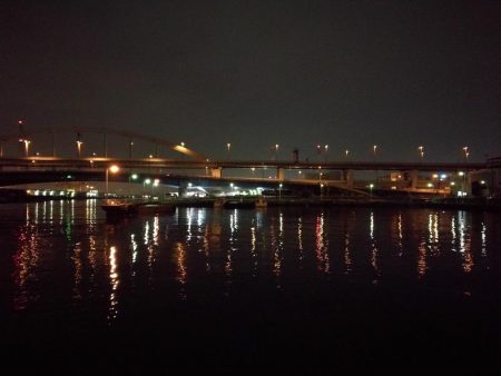 南港フェリーヘチ釣り落とし込み(懲りずに小キビレ釣ってます)