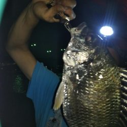 メバリングのつもりですが（汗）