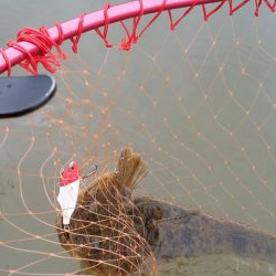 ウェーディング