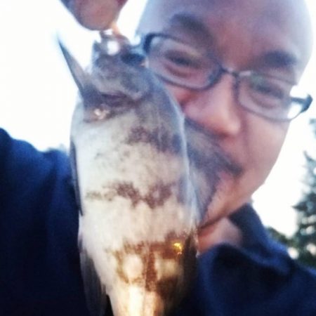 夢メッセ横にて