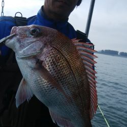 第二美丸　マダイ完全ふかせ