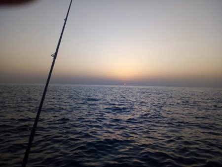 めばる調査のはずが、、