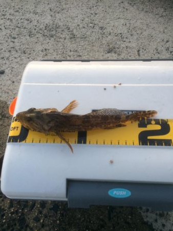 マイクロワインド