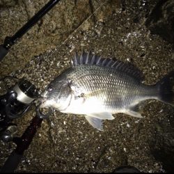 アクション変えたら