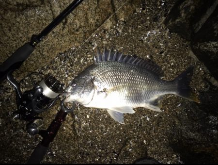 アクション変えたら