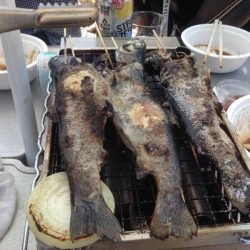 北田原マス釣り場にて