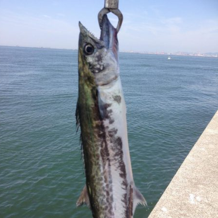 久々サゴちゃん