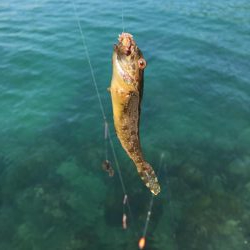 昼寝日和の波止場ビール♫