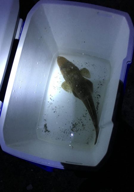 観潮船の港にて