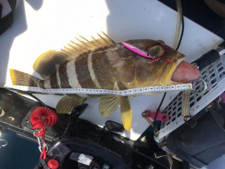 祝発売 ジグパラ TG 60g