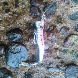 ちっちゃいなあ。