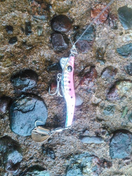 ちっちゃいなあ。