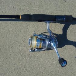 お昼過ぎに淀川へ行って来ました。