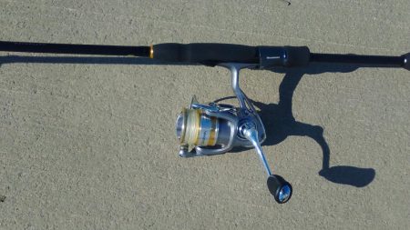 お昼過ぎに淀川へ行って来ました。