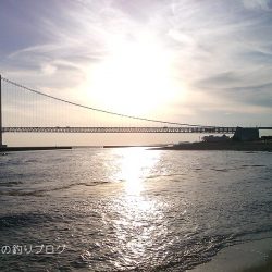 ファミリーフィッシング&グレ狙い