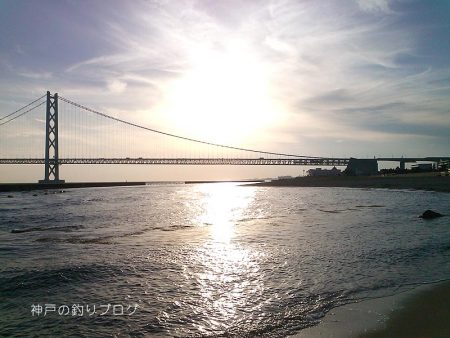 ファミリーフィッシング&グレ狙い