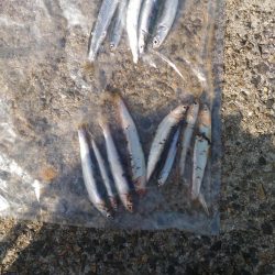 もう少しかかるかな?