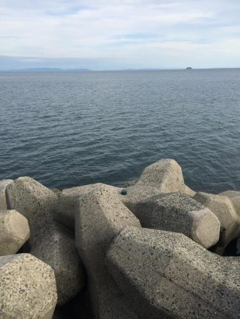 アブラメ新子＆根魚