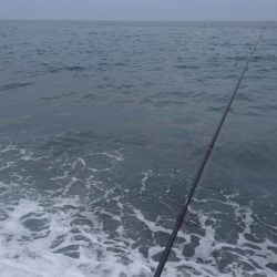 生命反応薄い！