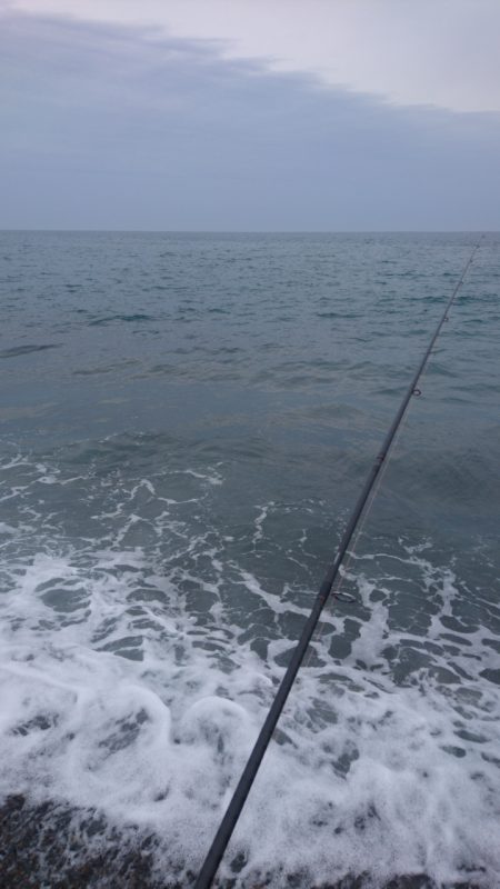 生命反応薄い！