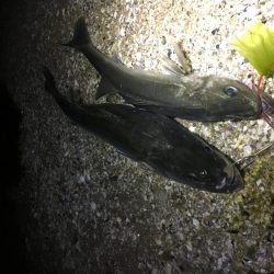 ねばってよかった